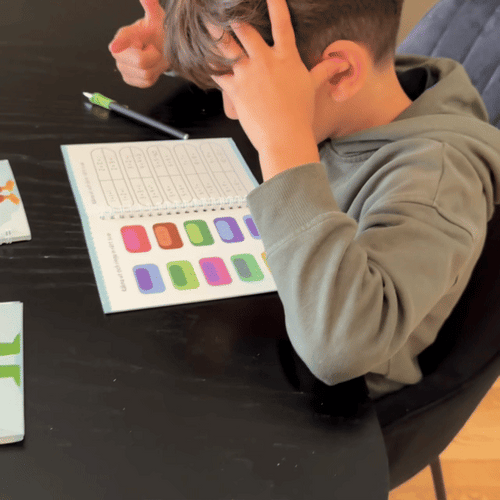 Pens with disappearing ink (10-pack)