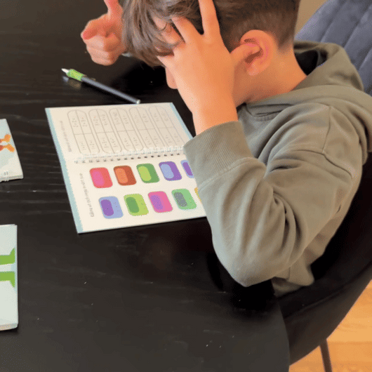 Pens with disappearing ink (10-pack)